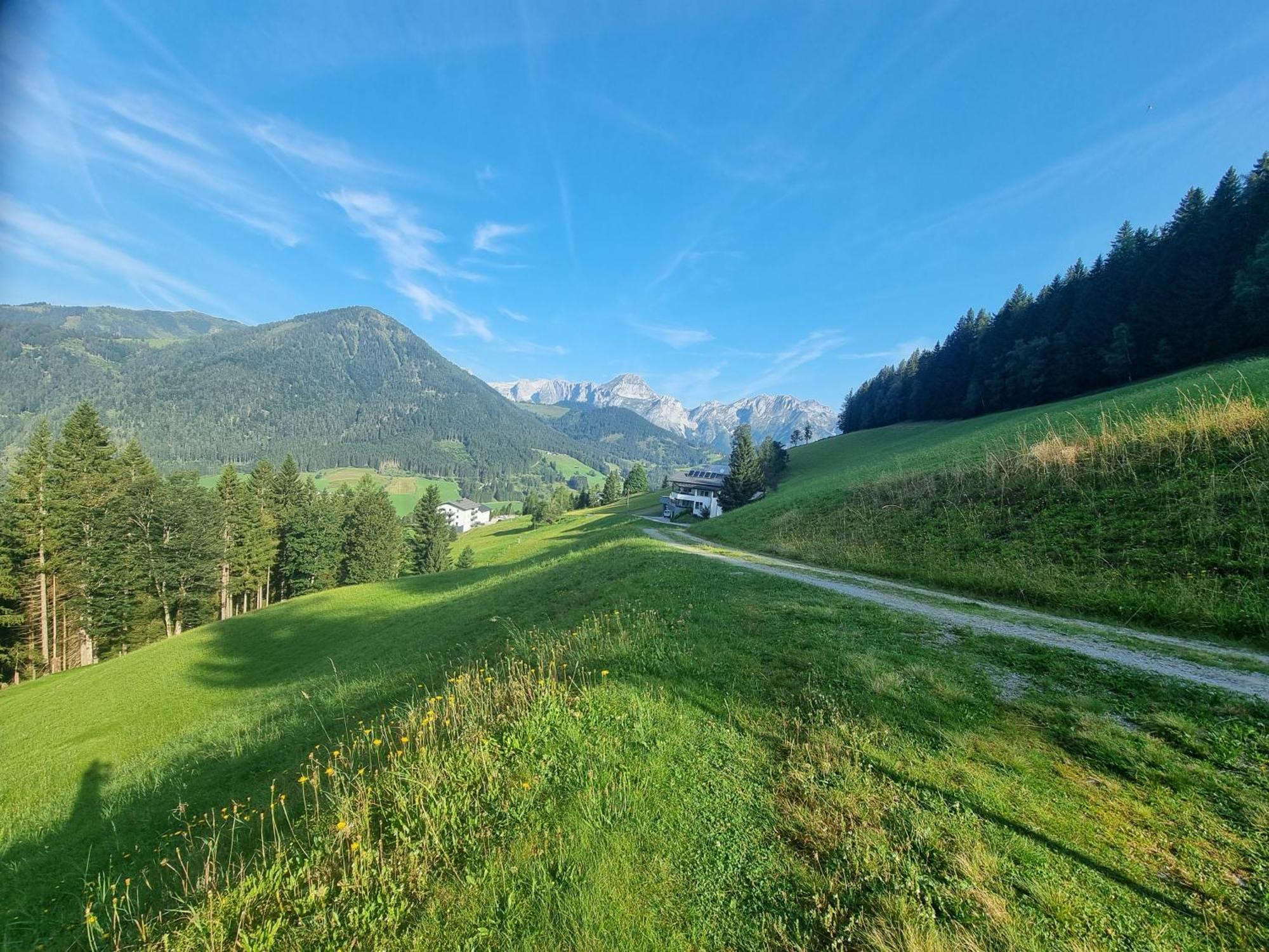 Buttermilchalm Bed & Breakfast Sankt Martin am Tennengebirge Bagian luar foto